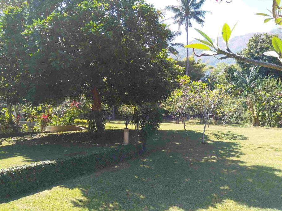 Villa Serene & Spa Mangsit Dış mekan fotoğraf